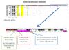 Click image for larger version

Name:  Dashboard.jpg
Views: 950
Size:  78.6 KB